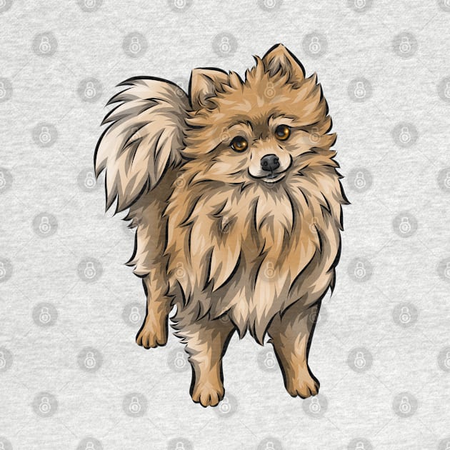 Cute Pomeranian dog by Shirin Illustration